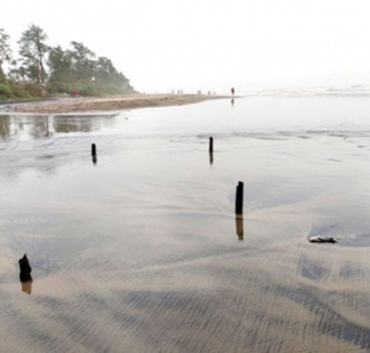 Wooden bamboo sticks pose danger on Arambol beach