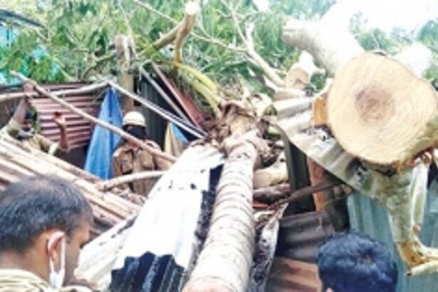 Work on for 14 damaged sites across Quepem, Sanguem, Dharbandoda