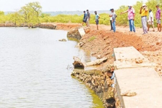 Work on repairing bundh in Neura’s khazan land delayed further