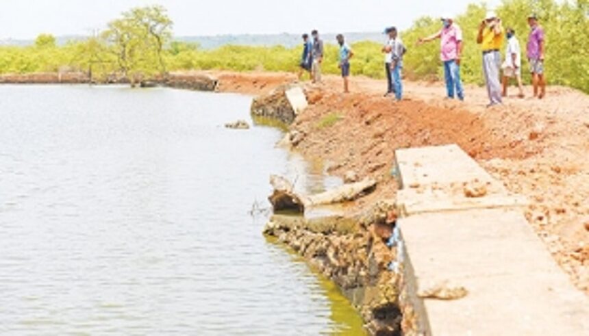 Work on repairing bundh in Neura’s khazan land delayed further 1 Work on repairing bundh in Neura’s khazan land delayed further