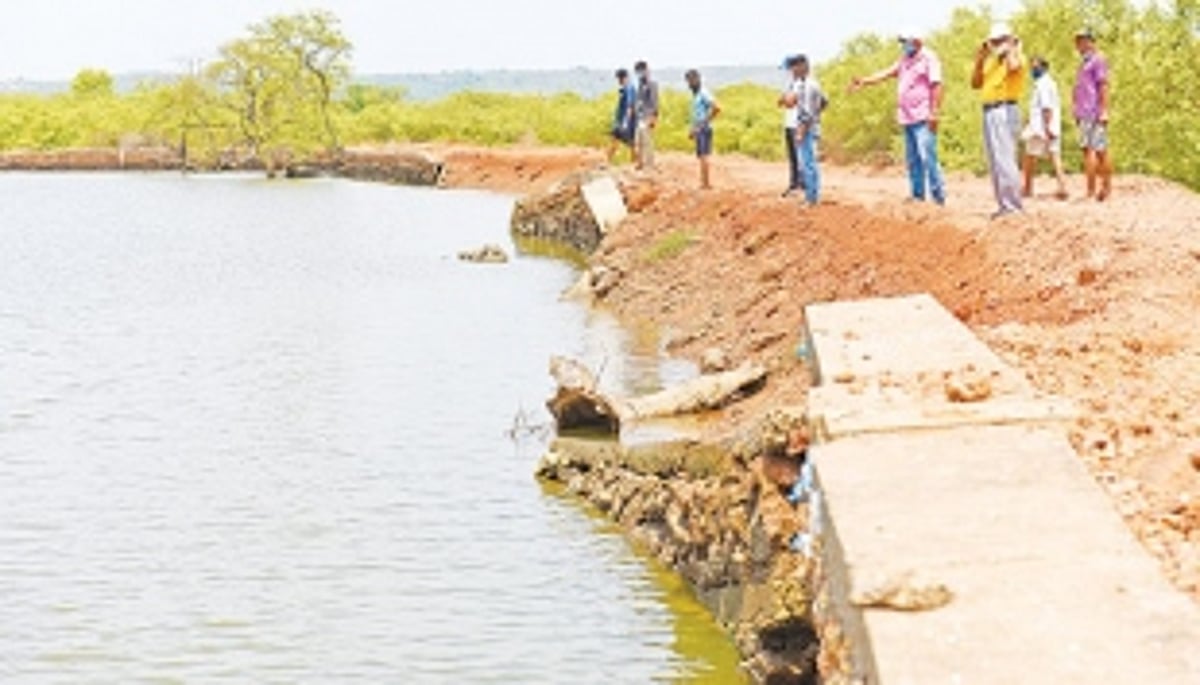 Work on repairing bundh in Neura’s khazan land delayed further