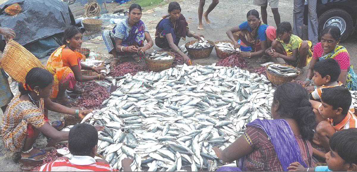Workers cleaning fish before selling the same to hotels long Colva beach on Wednesday. Photo by Rozario Estibeiro