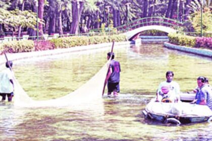 Workers use a net to clean the artificial pond