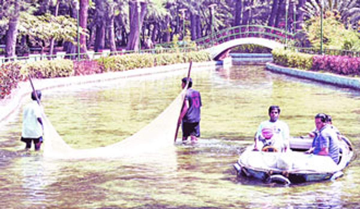 Workers use a net to clean the artificial pond