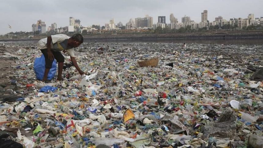World Environment Day: Goa Struggles with India’s Highest Plastic Waste Per Capita 1 World Environment Day: Goa Struggles with India’s Highest Plastic Waste Per Capita