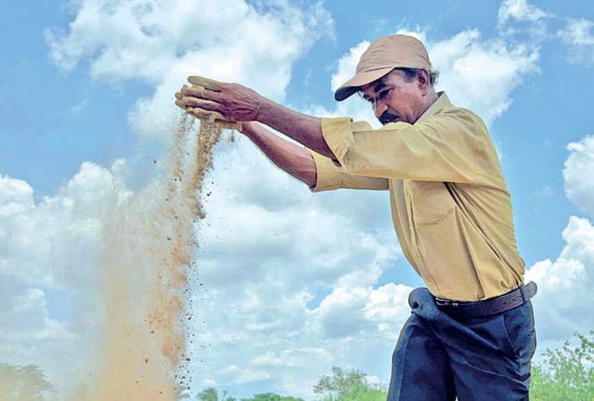 Xeldem farmers face heavy losses due to non-availability of Salaulim dam water 1 Xeldem farmers face heavy losses due to non-availability of Salaulim dam water