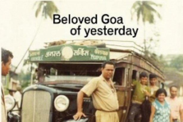 YOU TELL US...   ... who your candidate should be