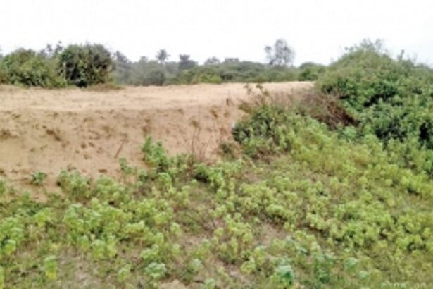 Yet another sand-dune cut in Sernabatim