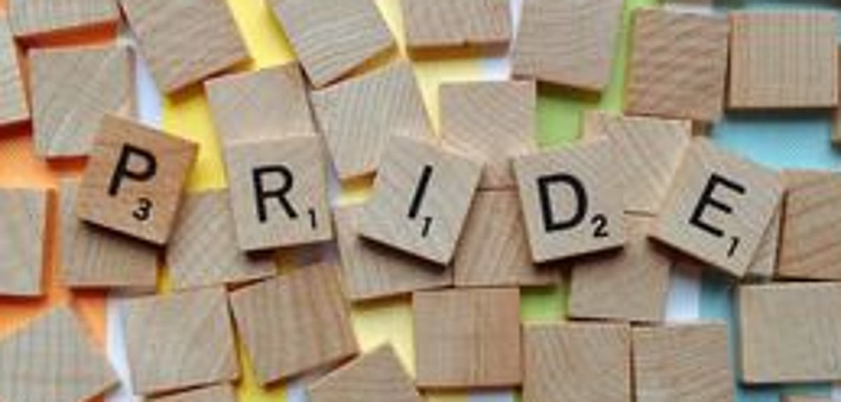 Young Francis makes  amends for pride