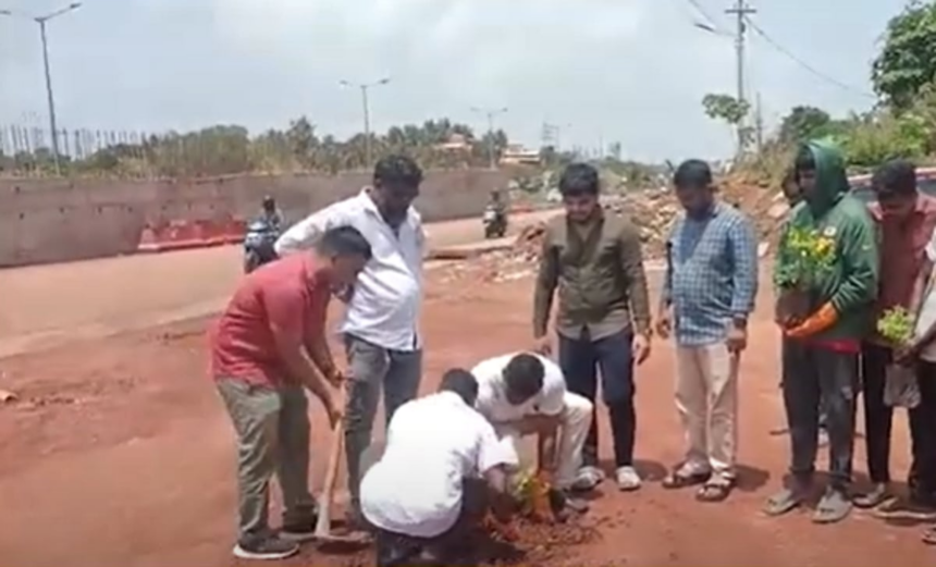 Youth Congress Plants Saplings in Potholes to Protest Road Neglect in Sancoale 1 Youth Congress Plants Saplings in Potholes to Protest Road Neglect in Sancoale
