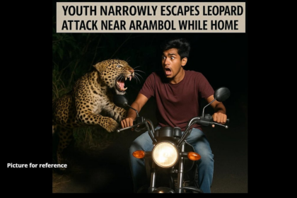 Youth Narrowly Escapes Leopard Attack Near Arambol While Riding Home
