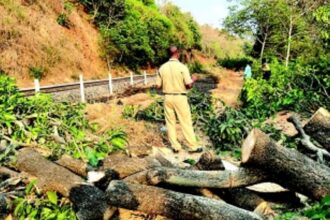 Youth, environmental groups warn of crisis; urge voters to prioritise nature and democracy in elections