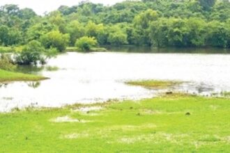 Youth, picnickers defy ban, visit water bodies, waterfalls