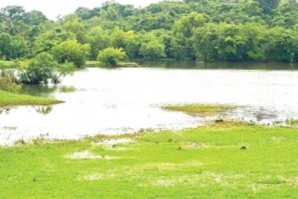 Youth, picnickers defy ban, visit water bodies, waterfalls