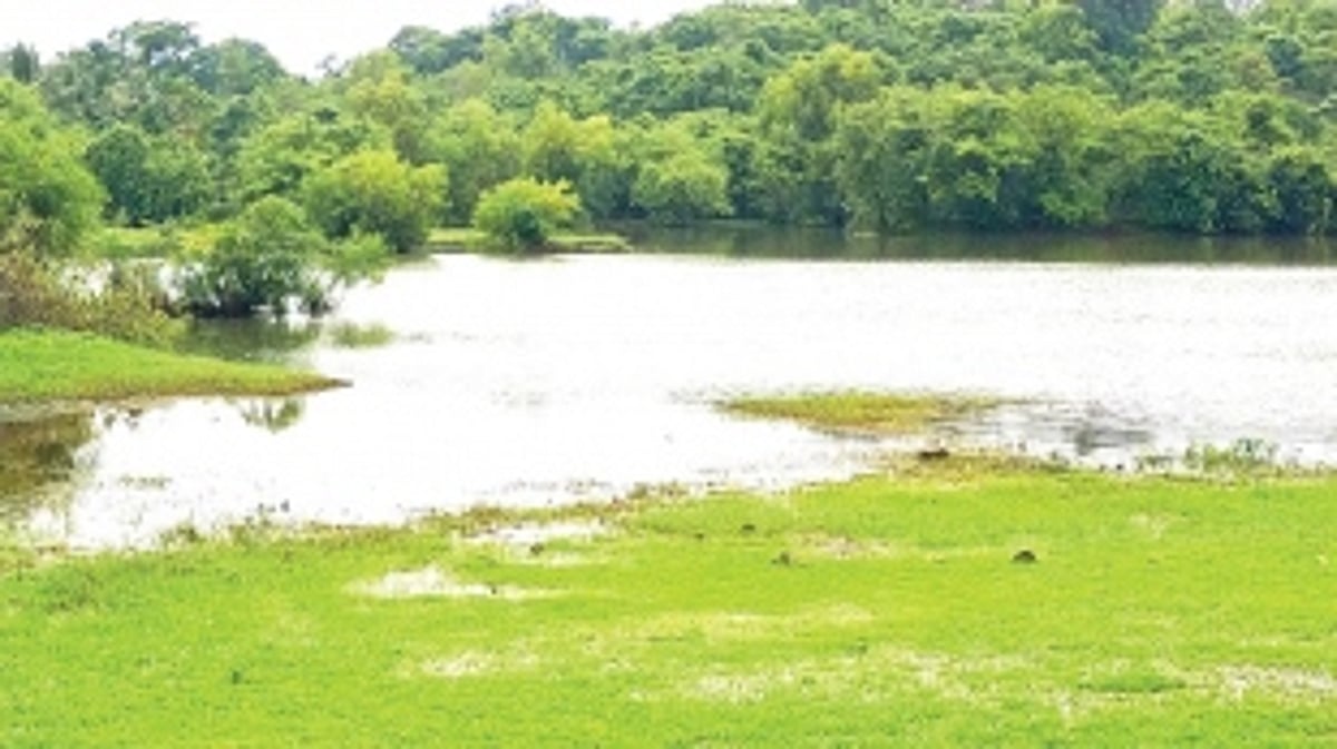 Youth, picnickers defy ban, visit water bodies, waterfalls