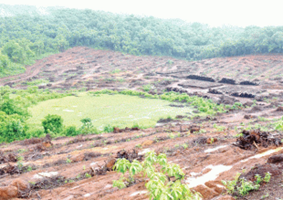 Youth remind newly-elected govt of their  demand against linear projects