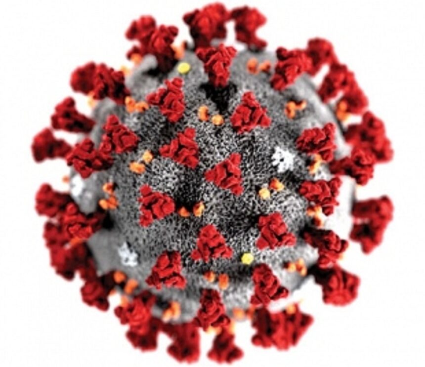 Zero Covid deaths  reported in 24 hours