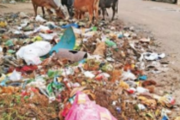 Zingadimal-Curti locals ask p’yat to clear garbage dumped by roadside