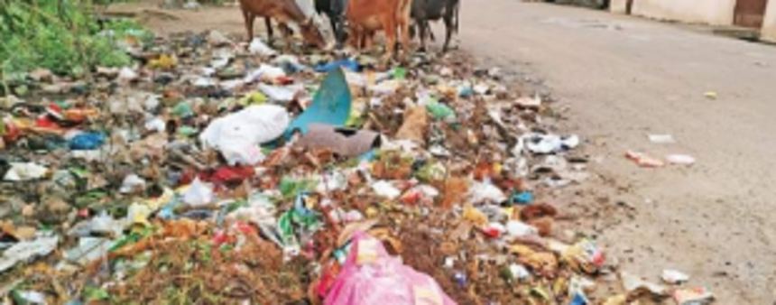Zingadimal-Curti locals ask p’yat to clear garbage dumped by roadside