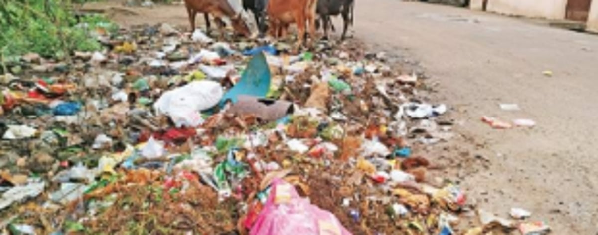Zingadimal-Curti locals ask p’yat to clear garbage dumped by roadside