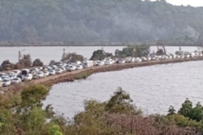 Zuari commuting woes: Now, tree crash leaves several stranded