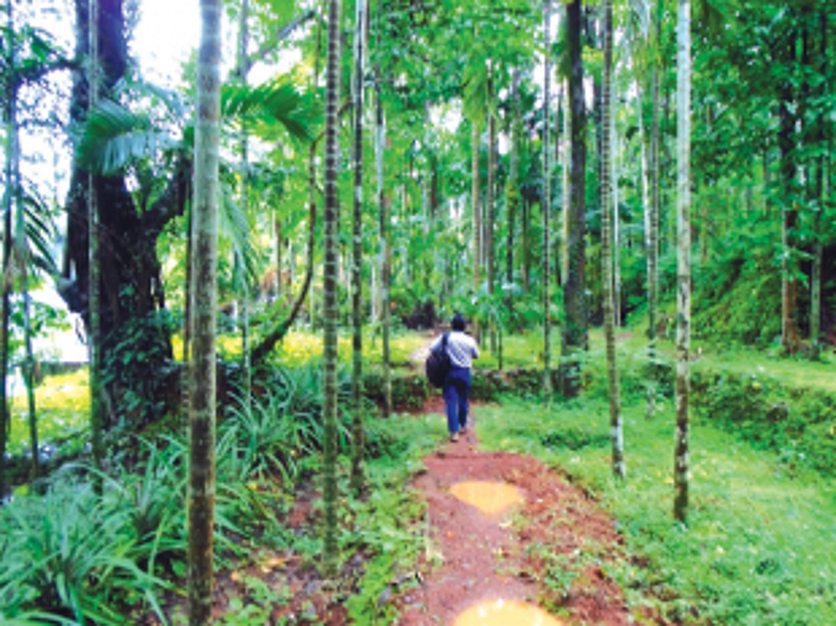 ...and the story is similar in Priol