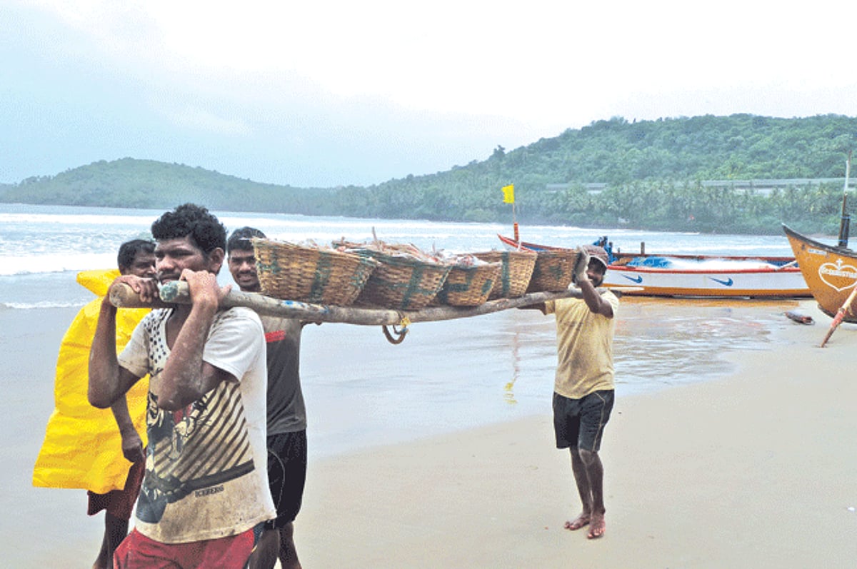 catch of the day:  With fish being  scarce due to on-going fishing ban on trawlers, these traditional fishermen at Dando in Velsao beach are more than happy with their catch.