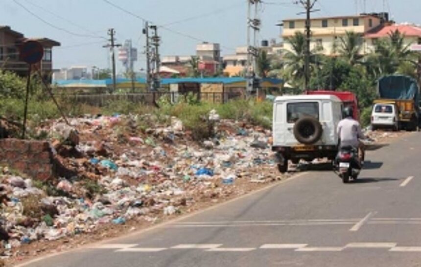 garbage dumps, birds  constant threat to planes at dabolim
