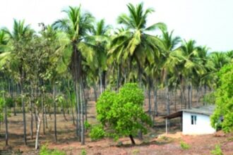 in Sanguem Govt’s ‘agro’ approach will give them no beer hugs