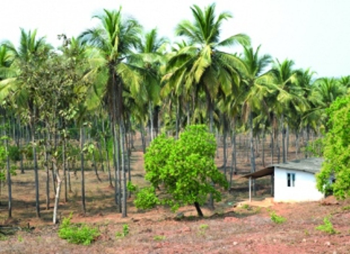 in Sanguem Govt’s ‘agro’ approach will give them no beer hugs