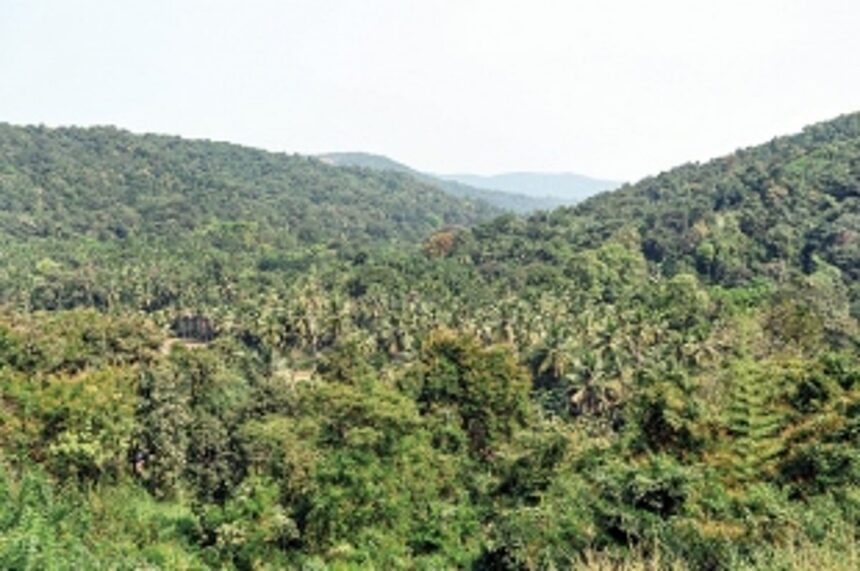 it’s a buffer of just 1 km 1 it’s a buffer of just 1 km