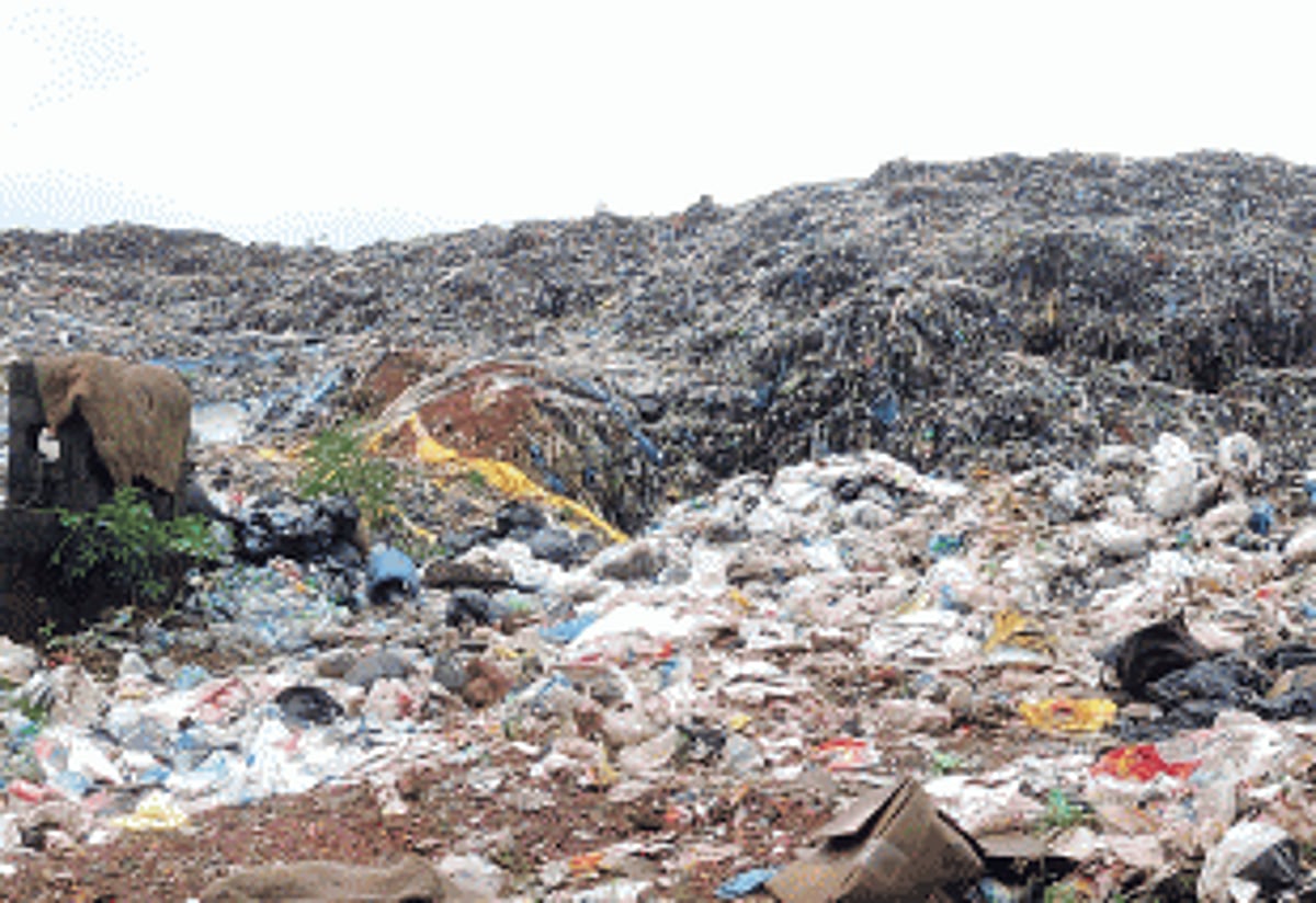 questions that Madgavkars wanted to ask