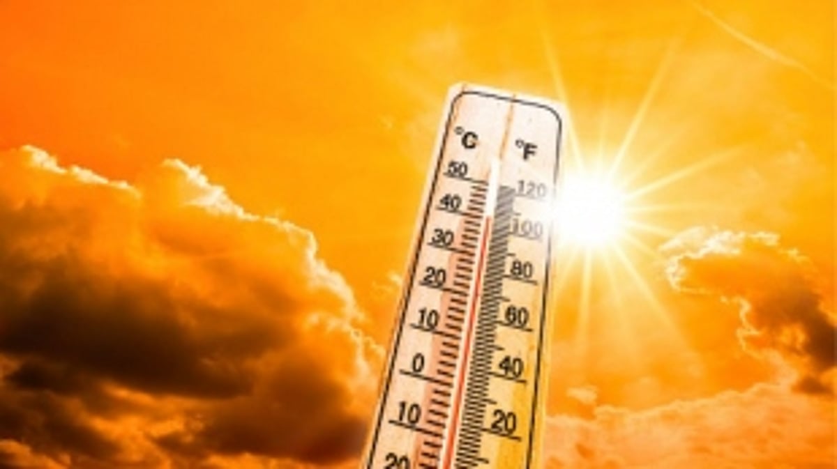 scorching continues to rise in Odisha leaving people suffering an intense heat