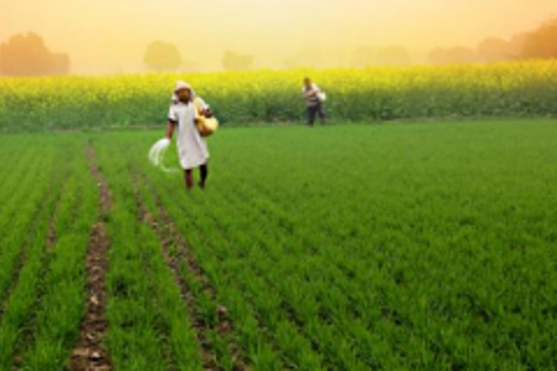 ‘Agro-ecotourism opens up new  avenues to increase farm income’