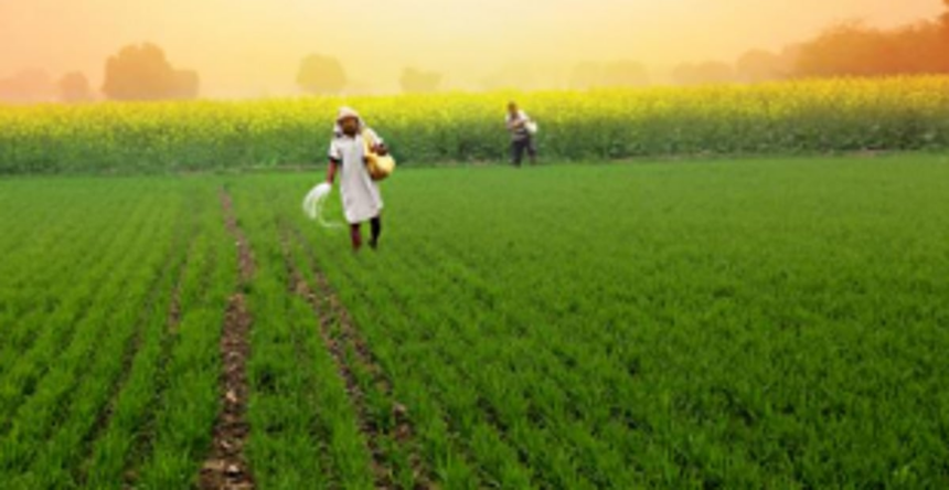 ‘Agro-ecotourism opens up new avenues to increase farm income’ 1 ‘Agro-ecotourism opens up new avenues to increase farm income’