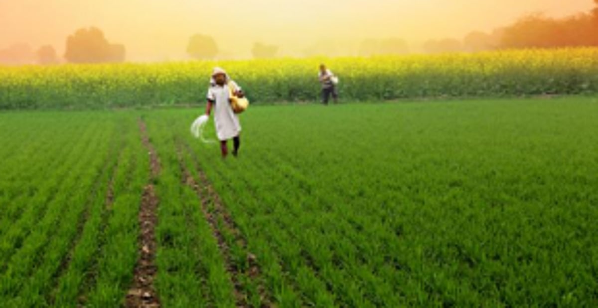 ‘Agro-ecotourism opens up new  avenues to increase farm income’