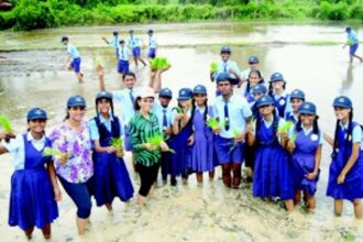 ‘Back to Basics’ rekindles younger generation’s connection with agricultural traditions