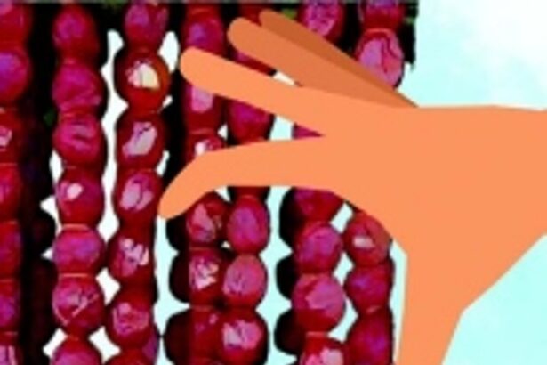 ‘Chourico’ heist goes  awry as two thieves caught red-handed