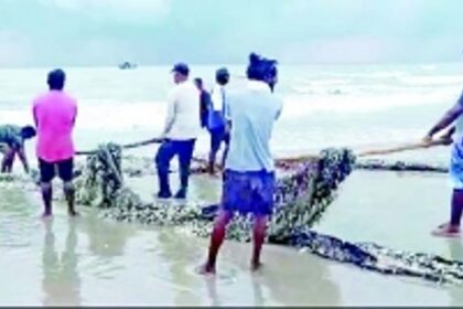 ‘EVEN OUR FISH IS TAKEN FROM OUR LAND’: Goa’s fisherfolk