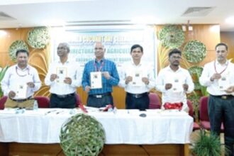 ‘Farmers, govt, consumers - 3 key players for sustaining coconut sector’