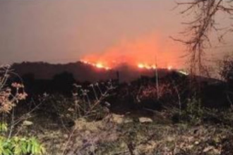 ‘Five months ago, Goan scientist had predicted wildfires in summer 2023’