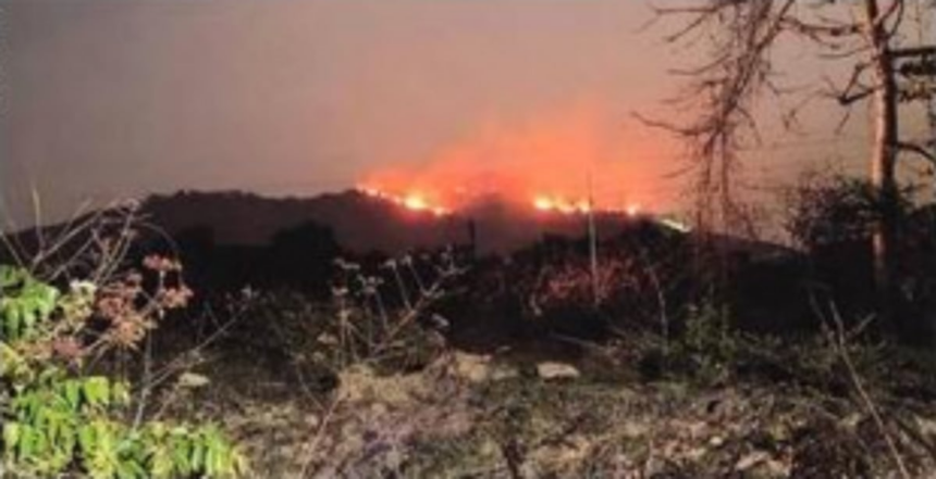 ‘Five months ago, Goan scientist had predicted wildfires in summer 2023’