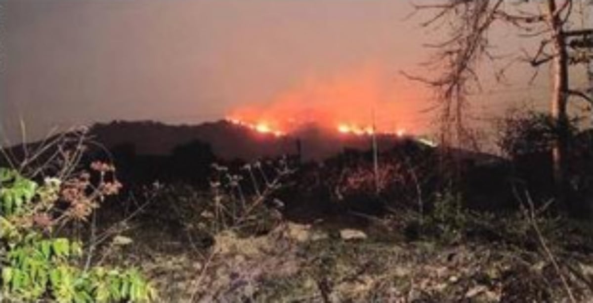 ‘Five months ago, Goan scientist had predicted wildfires in summer 2023’