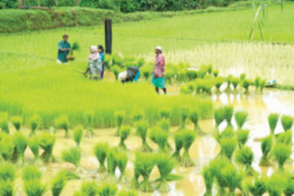‘Focus on solving  farmers’ issues’