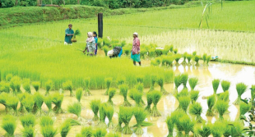 ‘Focus on solving  farmers’ issues’