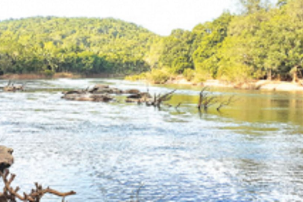 ‘Greedy’ govt threatening to turn the State into a man-made desert: Save Mhadei Save Goa Front