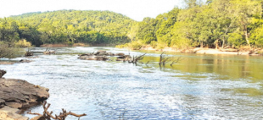 ‘Greedy’ govt threatening to turn the State into a man-made desert: Save Mhadei Save Goa Front