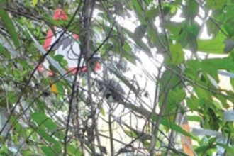 ‘Invisible’ signboard along Farmagudi-Veling route