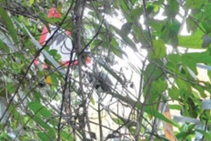 ‘Invisible’ signboard along Farmagudi-Veling route