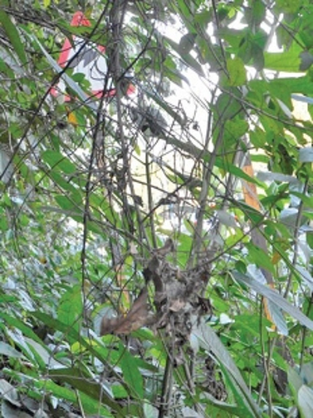 ‘Invisible’ signboard along Farmagudi-Veling route